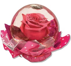 Real Rose in Krystal