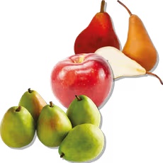 Anjou, Bosc or Red Pears or Pink Lady or Cosmic Crisp Apples