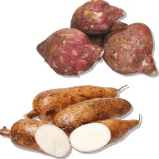 Yuca or Boniato Cubano