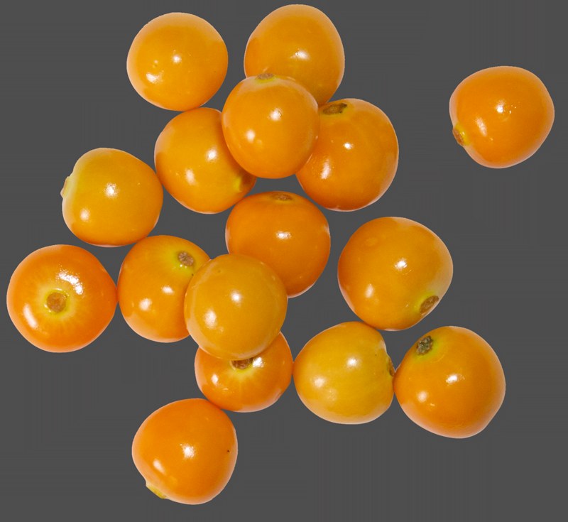 Cape Gooseberries (SKIP) - in store