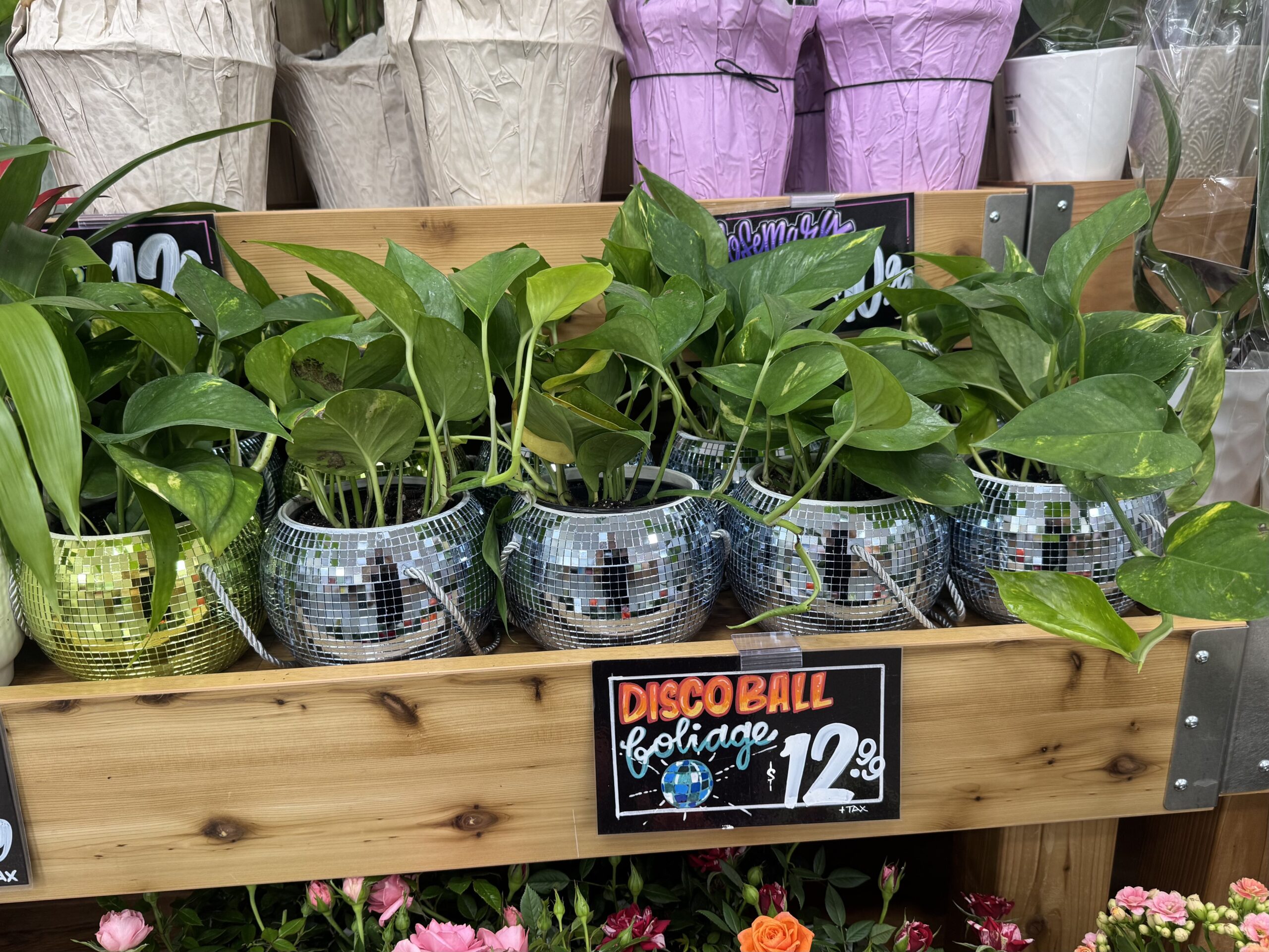 DISCO BALL foliage - in store