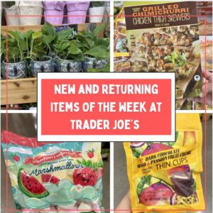 New and Returning Items Of The Week At Trader Joe’s (6/15 – 6/21)