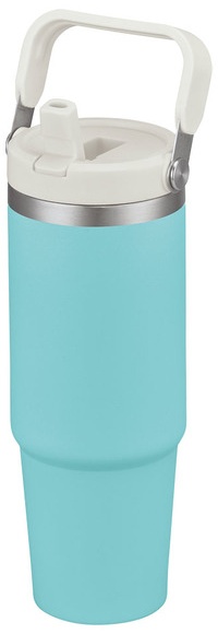 Turquoise/White