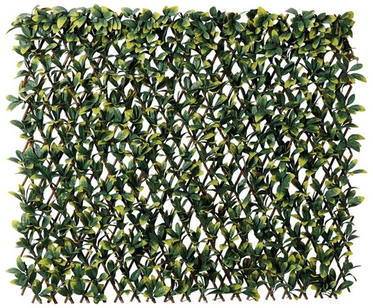 Laurel
