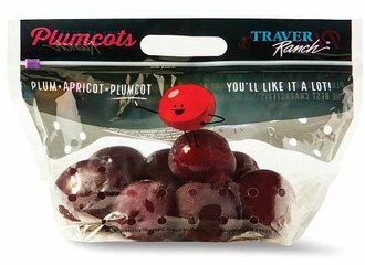 Plumcots