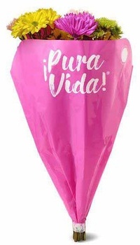 Pura Vida Bouquet