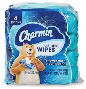 Charmin Flushable Wipes