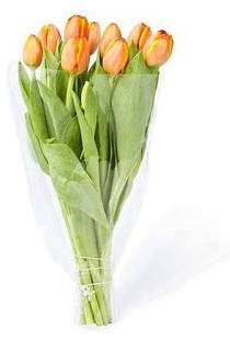 Tulip Bouquet