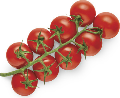 Snacking Tomatoes On the Vine