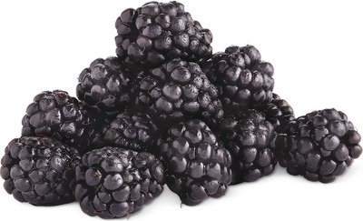 Driscoll's Blackberries