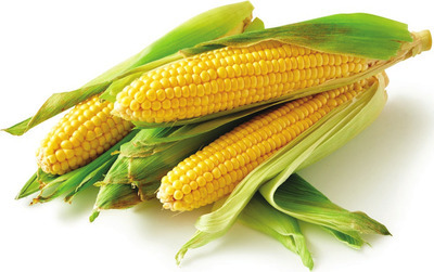Yellow, White or BiColor Corn