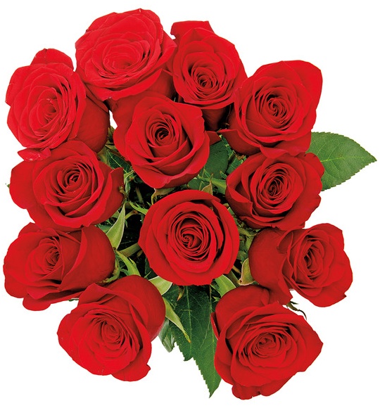 12 Roses Bouquet -