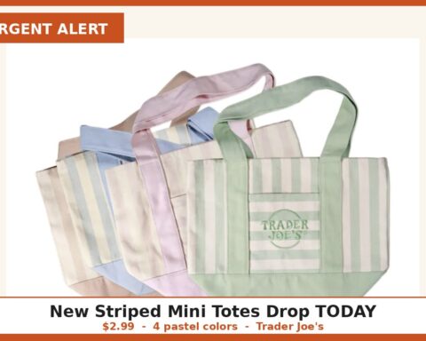 Trader Joes new striped mini canvas totes in pastel colors