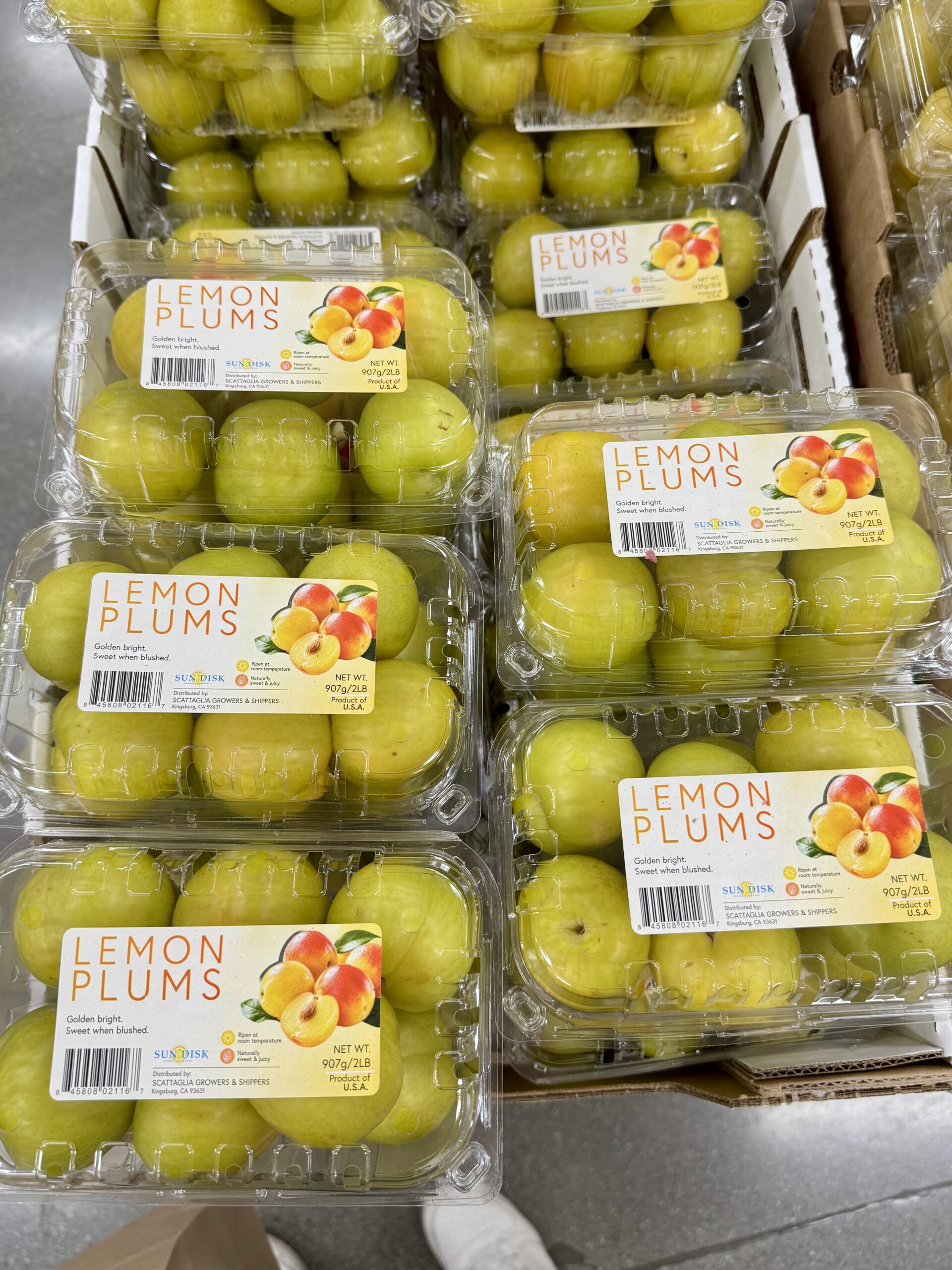 Lemon Plums - in store