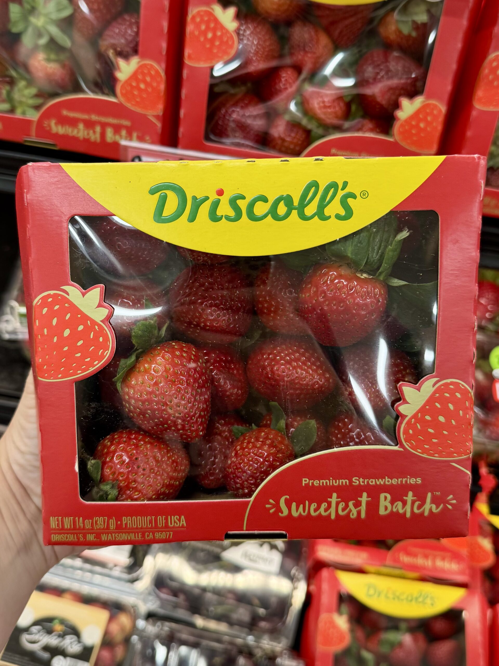 Driscoll's Premium Strawberries Sweetest Batch - in store