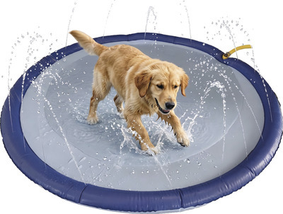 Heart to Tail Pet Splash Pad