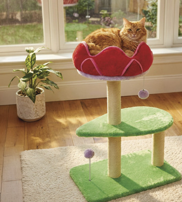 Heart to Tail Novelty Cat Tower