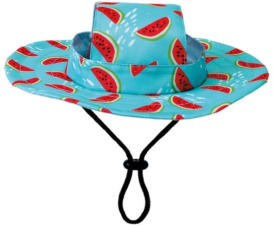 Heart to Tail Pet Hat - Watermelon Bucket