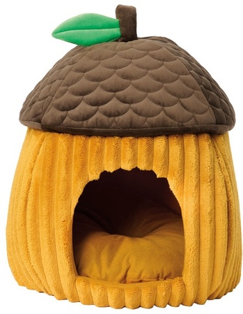 Acorn