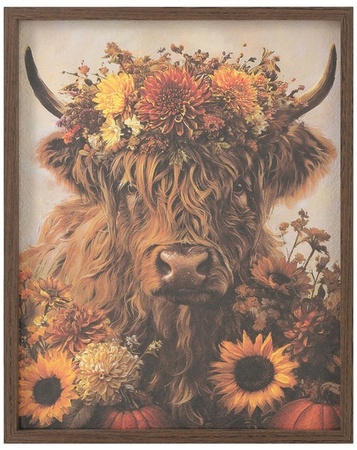 Highland Cow