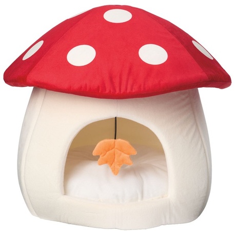 Toadstool