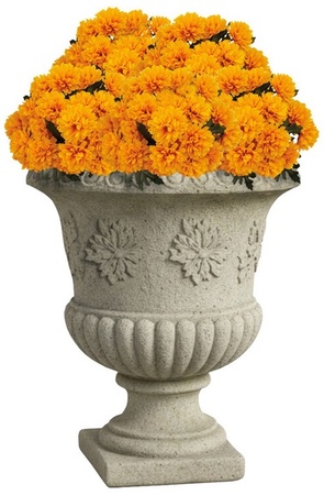 Marigold