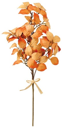 Orange/Red Leav
