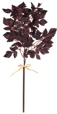 Burgundy Leaves