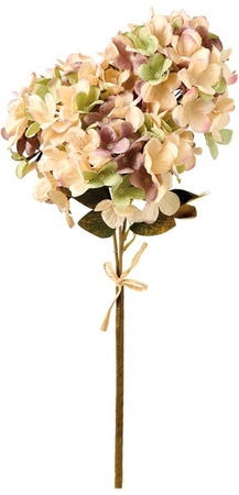 Cream Hydrangea