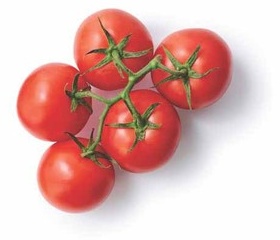 Tomatoes on the Vine