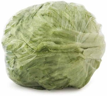 Iceberg Lettuce