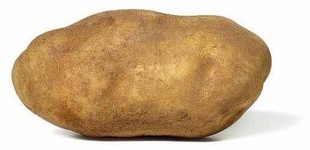 Extra Large Russet Potatoes
