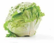 Organic Iceberg Lettuce