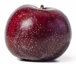 Red or Black Plums