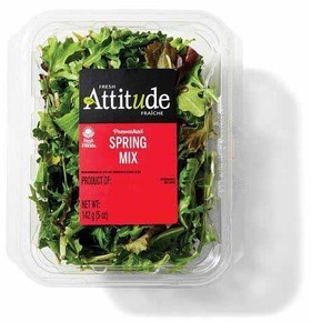 Fresh Attitude Salads