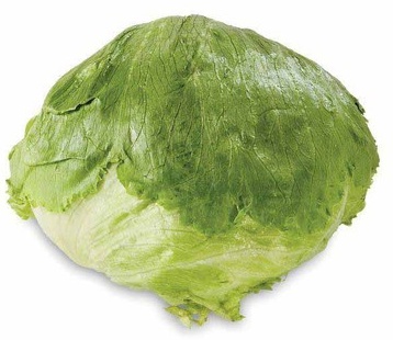 Iceburg Lettuce