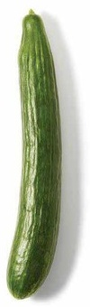 Hot House Cucumbers