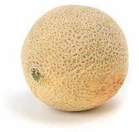 Cantaloupe or Sugar Kiss Melon