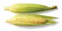 Bulk Sweet Corn