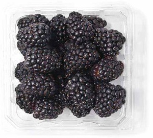 Blackberries