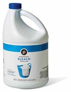Publix Bleach