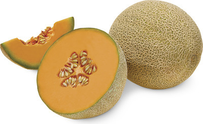 Cantaloupe