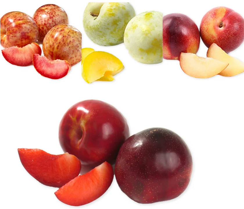 Strawberry Plums