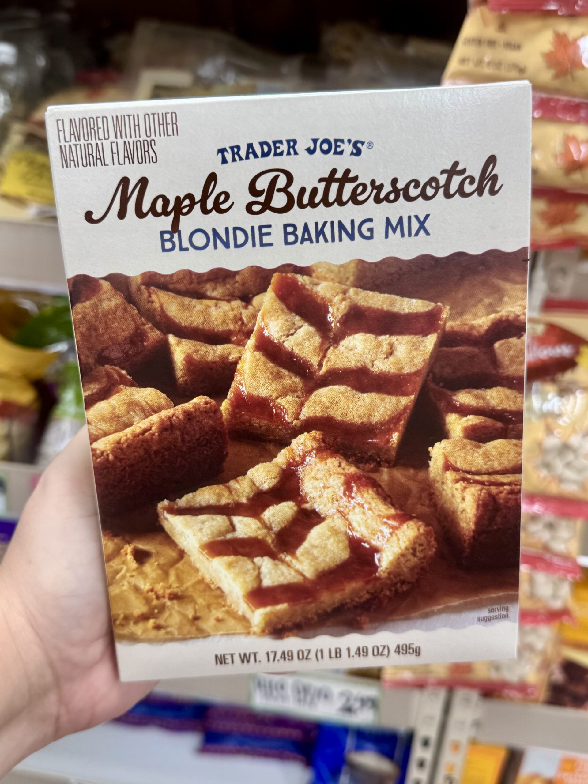 Maple Butterscotch Blondie Baking Mix - in store