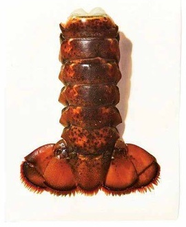 Lobster Tails