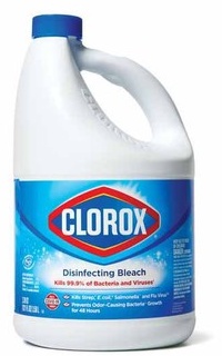 Clorox Bleach