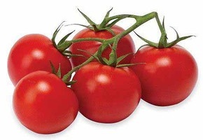 Tomatoes on the Vine