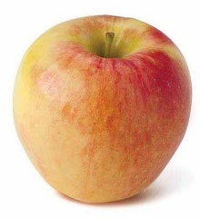 Ambrosia Apples