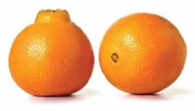 Minneola Tangelos