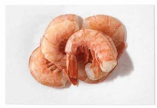 Argentine Red Shrimp